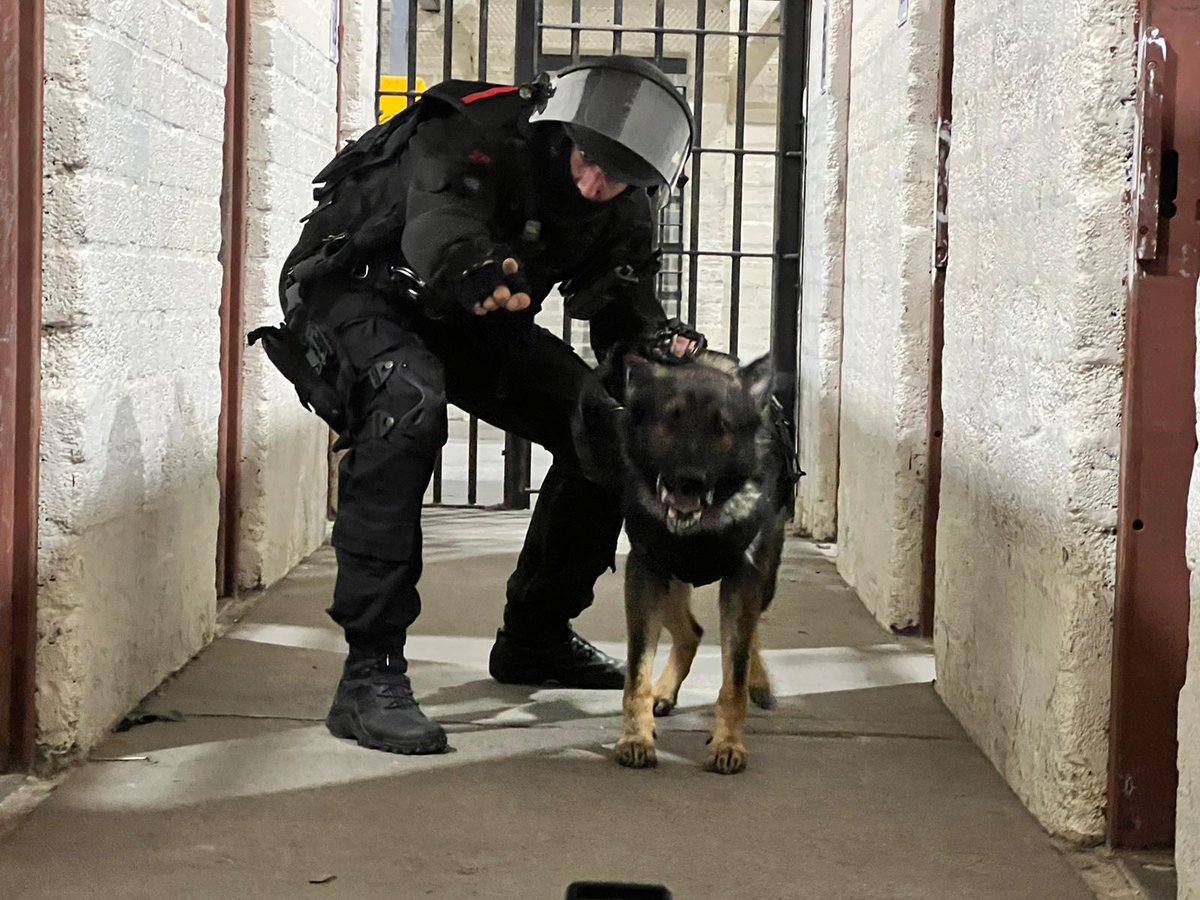DogsHmpps's tweet photo. Here's another look behind the scenes of the @The_NFRSA calendar photo shoot with #NDTSG. PD Drax and his Dad showing their angry side to @byGerrySlade. Can't for the Calendar release!
#K9 #WorkingDogs #PrisonDogs #NFRSA #NCTAS #HMPS https://t.co/DSFLzHVaMF