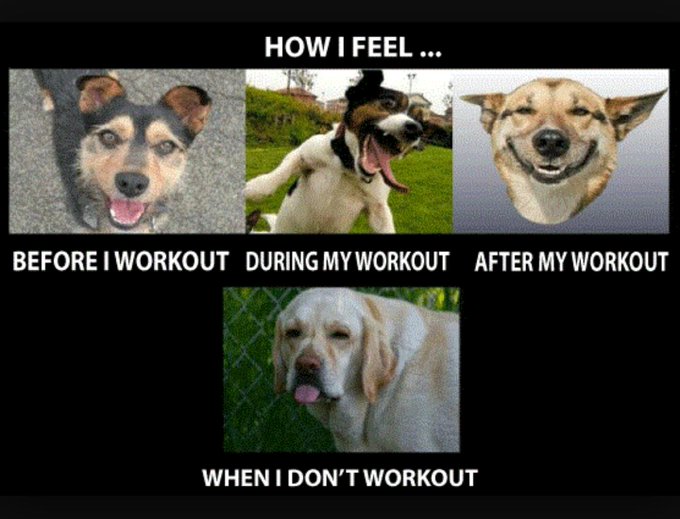 Tell your friends about New Life Cardio Equipment where everybody gets huge discounts! With school starting back up everyone needs a little something to take their mind off things. Parents, teachers, college kids! We have something for everyone! @ Newlifecardioequipment.com
#workout