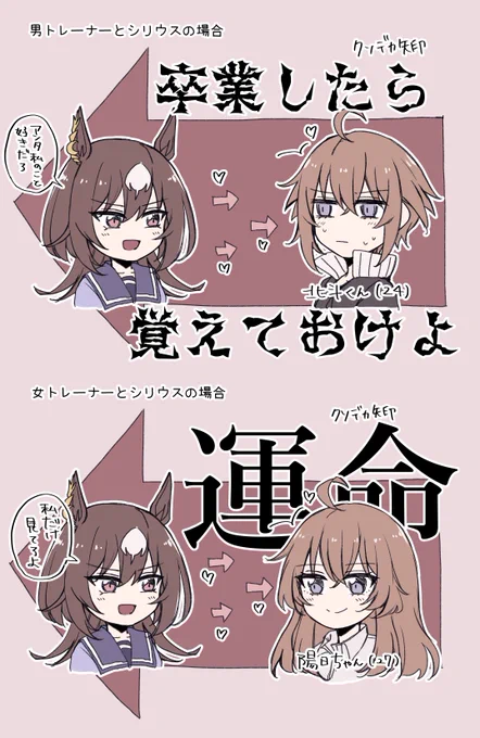 これは一目でわかる弊シリトレと弊トレシリ 