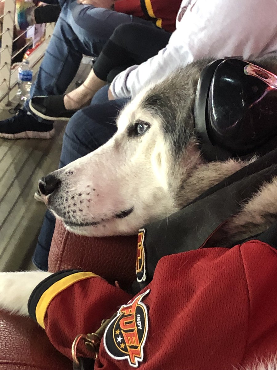 LoganSibHsky's tweet photo. Also want 2 especially thank the @IndyFuel @NitroIndyFuel & @Goddess_of_Arts & 4 all the fun times & 4 the special Fuel jersey!! Thank U every 2 all my Fuel Hockey Family I’m sorry if I forgot any 1.
#gofuel #lightthefire #hockeyfamily #rainbowbridge https://t.co/I1dx6ZtkOr