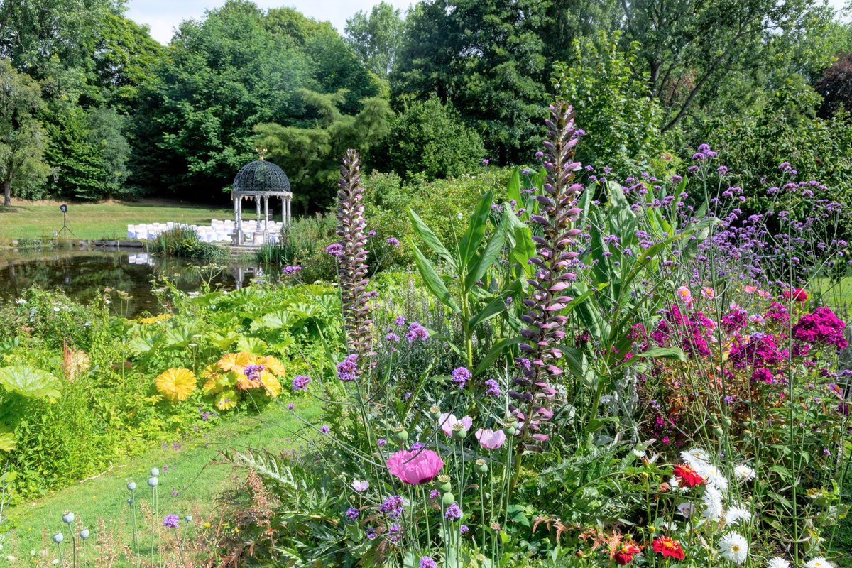 Welcome to our new Twitter page. Please can you follow/RT us to hear our latest news and forthcoming events. Thank you 🦆🌻🌳 <a href="/blackmore_vale/">TheBVmagazine</a>