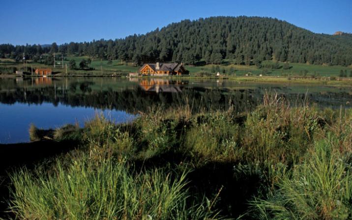 We are so lucky that this is right in our own backyard here in Evergreen! #evergreenco

colorado.com/cities-and-tow…