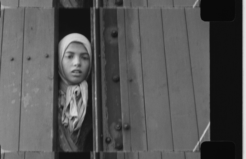 drjhamsterdam's tweet photo. Waarschijnlijk de meest #iconische foto van de #holocaust. Op 19 .05.1944 gemaakt. Geen #Joods kind maar een #Sinti
Settala Steinbach, uit het Limburgse Stein
9 jaar oud. Vermoord in #Auschwitz. https://t.co/ACwXj6FpjB