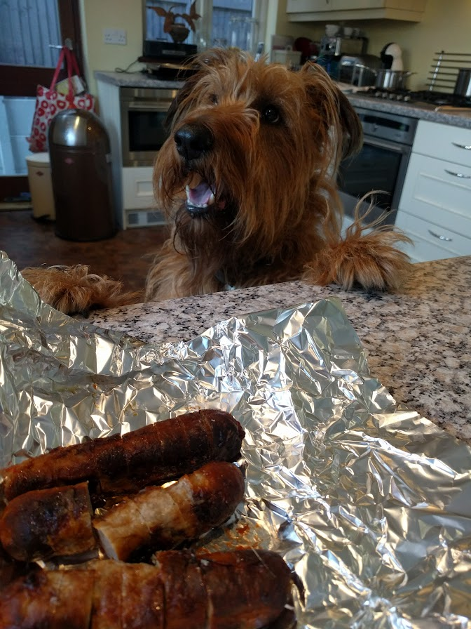 We need to talk about these sossidges hooman 🐾