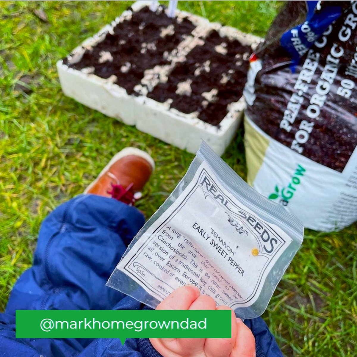 We've loved seeing your beautiful #SylvaGrown #gardening &amp; #gyo photos over the last few years. Thank u to all who've shared. Here's a few of our Insta favourites! Keep them coming by tagging us or adding #SylvaGrow or #SylvaGrowing in your posts!