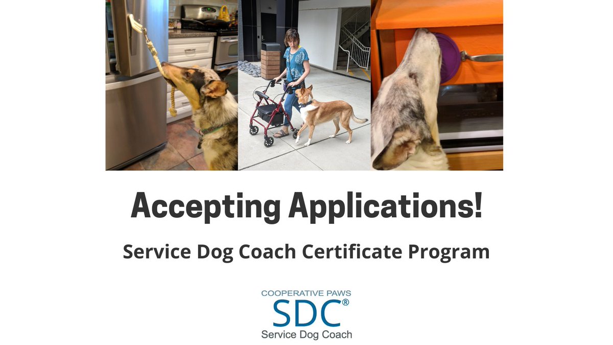 CooperativePaws's tweet photo. We are currently accepting new applicants for the Service Dog Coach Program https://t.co/aGzAAIdK8z https://t.co/A0hZ50EtvR