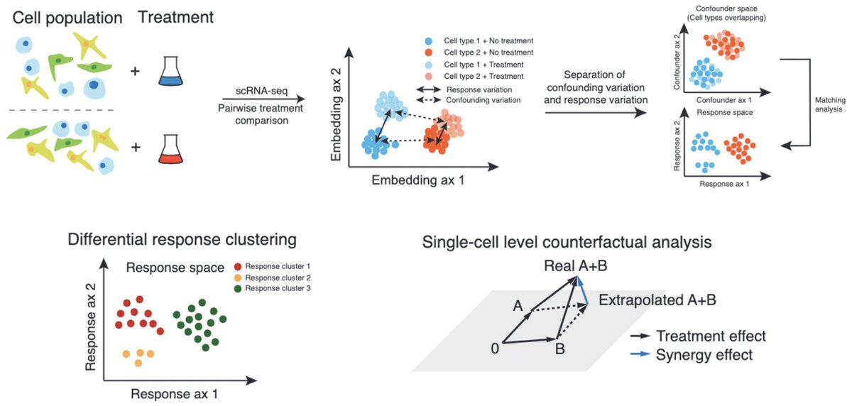 David van Dijk (@david_van_dijk) on Twitter photo We are excited to present our latest project: CINEMA-OT – a causal inference framework for single-cell perturbation analysis!
W/ <a href="/Mingze7316/">Mingze Dong</a> <a href="/rahuldhodapkar/">Rahul Dhodapkar</a> <a href="/ishizukalab/">Jeffrey Ishizuka</a> <a href="/EllenFoxman/">Ellen Foxman</a>
biorxiv.org/content/10.110… We are excited to present our latest project: CINEMA-OT – a causal inference framework for single-cell perturbation analysis!
W/ <a href="/Mingze7316/">Mingze Dong</a> <a href="/rahuldhodapkar/">Rahul Dhodapkar</a> <a href="/ishizukalab/">Jeffrey Ishizuka</a> <a href="/EllenFoxman/">Ellen Foxman</a>
biorxiv.org/content/10.110…