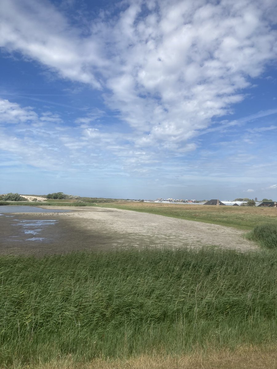 BoswachterFred's tweet photo. Er mag wel wat meer water vallen! #debanken #regiokuststreek @ZHLandschap Staan bijna helemaal droog! https://t.co/sPbcxswmMP