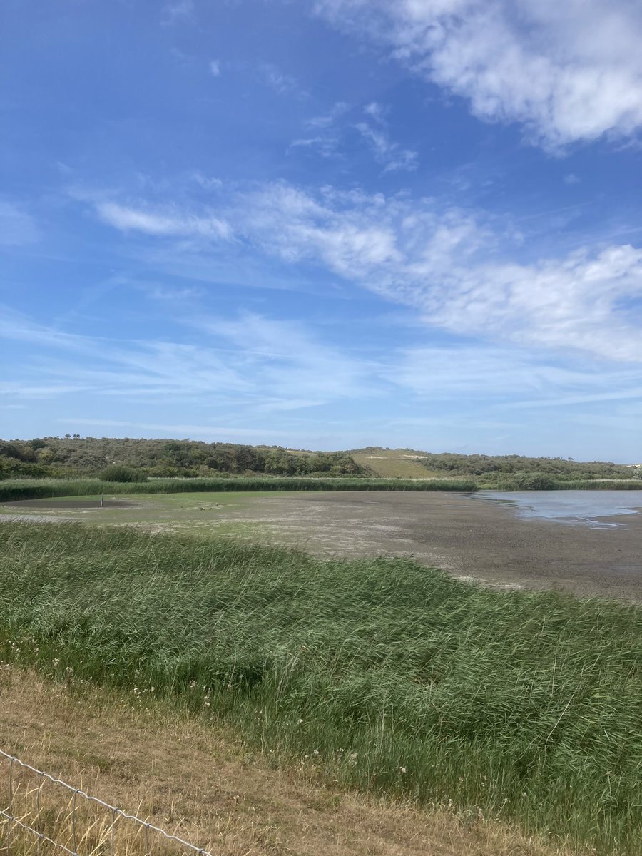 BoswachterFred's tweet photo. Er mag wel wat meer water vallen! #debanken #regiokuststreek @ZHLandschap Staan bijna helemaal droog! https://t.co/sPbcxswmMP