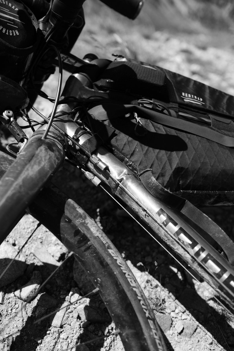 The Transcontinental tweet media