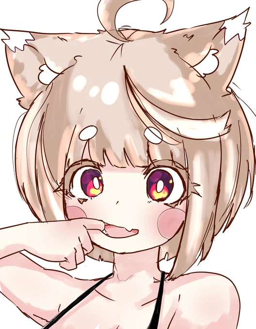 こういうの好き(*'ω'*)!
