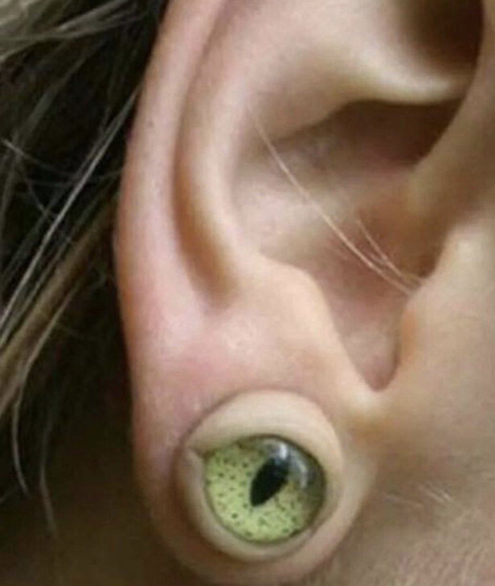 psyche_pierce's tweet photo. nice pierce. fuck s y l alligator
#piercingring #pierce #alliaator https://t.co/HZUHY8G3cx