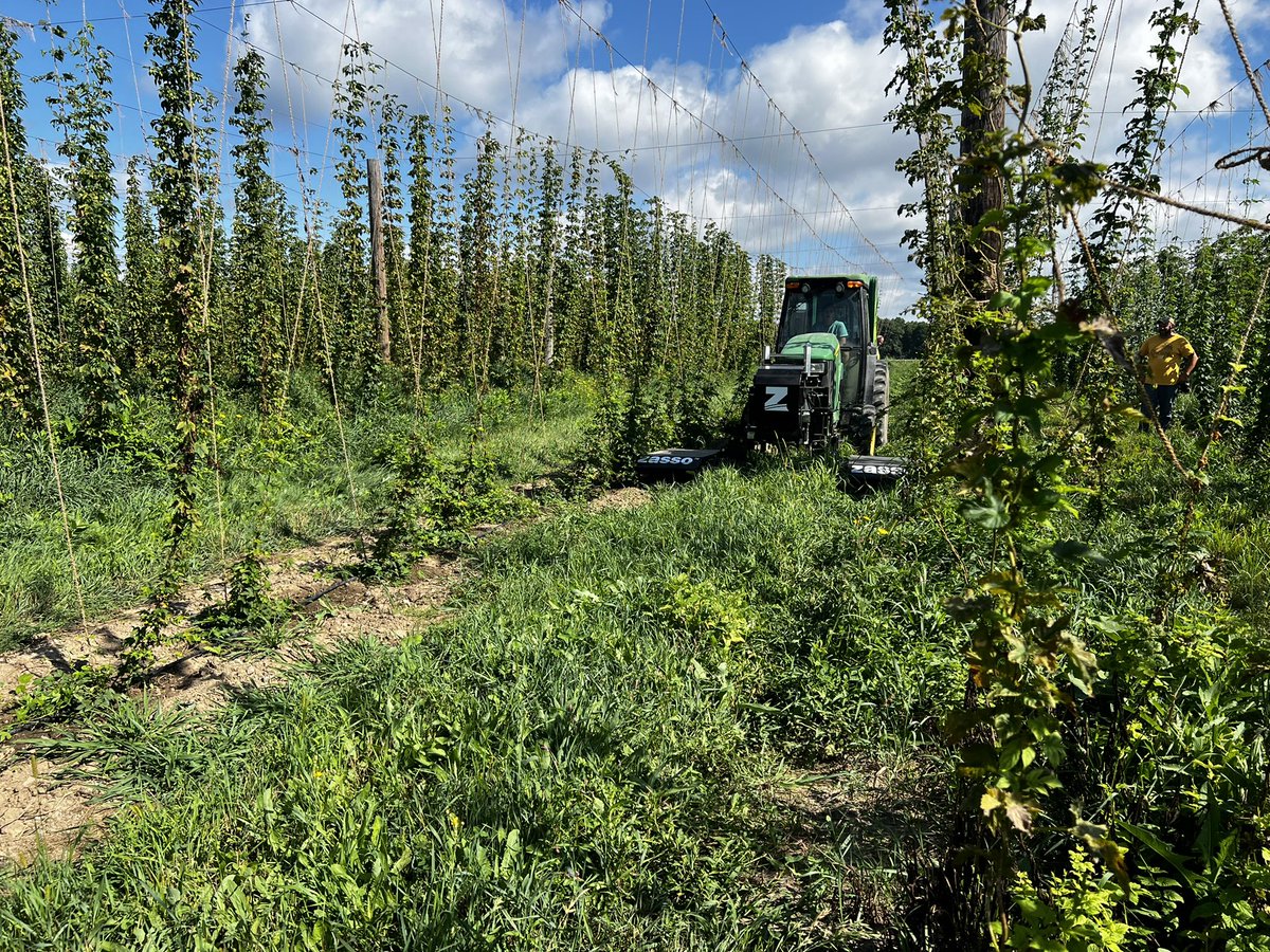 🇨🇦🇺🇸 Lynn Sosnoskie 🇺🇸🇨🇦 tweet media