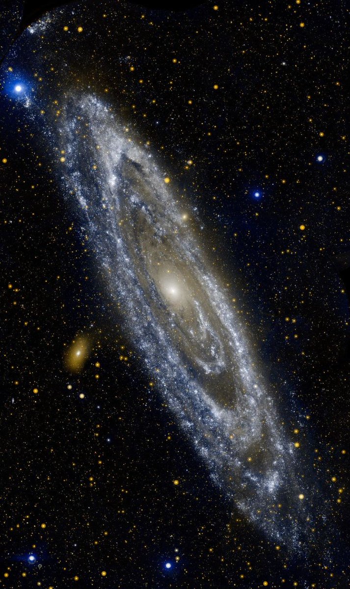 maiz_julio's tweet photo. M31 The Andrómeda galaxy in infrared by GALEX telescope #NASA #ESA #Hubble #Galaxy #Space #Universe https://t.co/P33aBYo4Kw