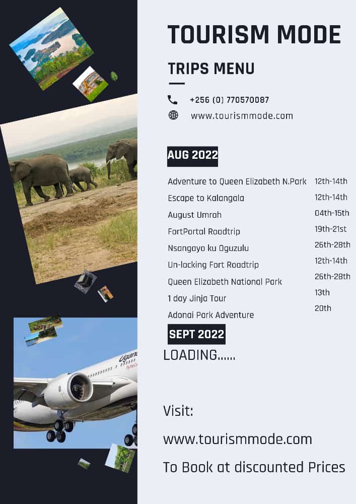 Tourism_mode's tweet photo. It's a new month. That only means one thing – travel time!

#Travel #Uganda #AdventureTime #wildlife https://t.co/Inqq0FDHuZ