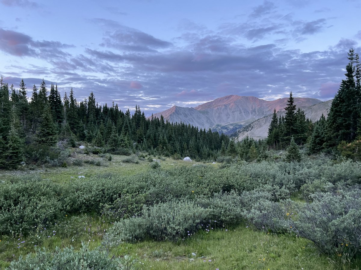 camdeardorff's tweet photo. I quickly threw together a Live Activity for Landscape before our hike last weekend. 
- Super convenient to see stats on the Lock Screen 
- Easy to build. This prototype is ugly but was ~2hrs of work. 

Very excited for this feature to ship with iOS 16 https://t.co/MsMv7z5tmU