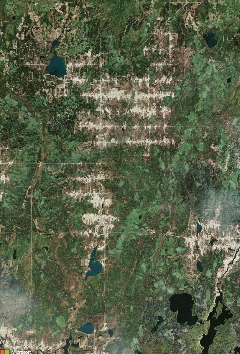 TheAliveEarth's tweet photo. 🌍    (48.515587, -77.582395)

https://t.co/t5zrtTMDCs https://t.co/Ma6G5sP23M