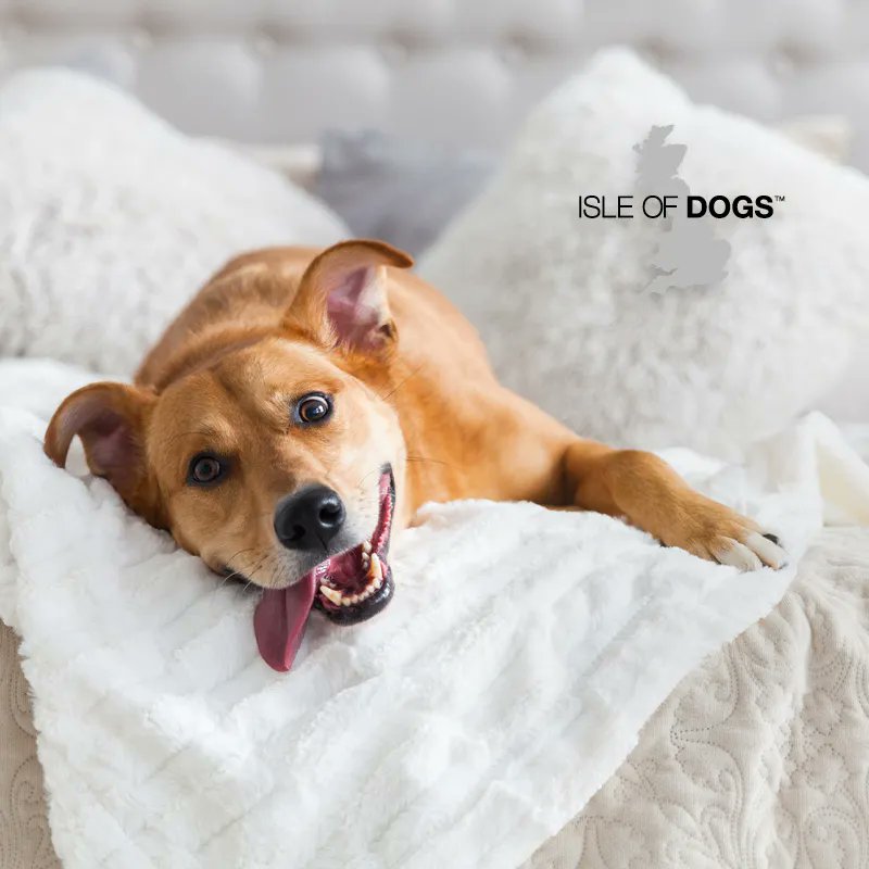 Isle of Dogs tweet media