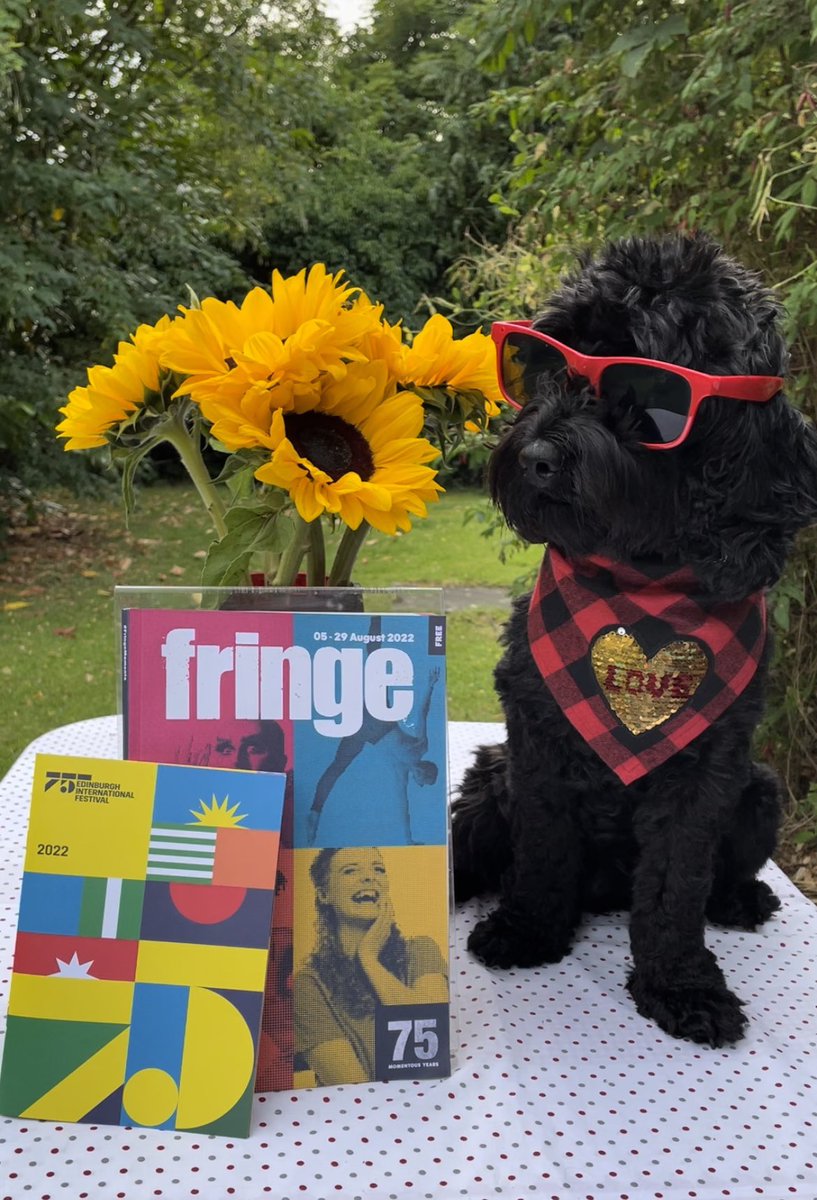 With the Edinburgh Festival Fringe looming, our Lola is excited to show off the new 75th Anniversary special edition of <a href="/edfringe/">Edinburgh Festival Fringe</a> programme.
#PetsWithProgrammes
#cockapoo #petmodel 
<a href="/qftravel/">Queensferry Travel</a> <a href="/RainbowLuxTravl/">rainbowluxtravel</a>