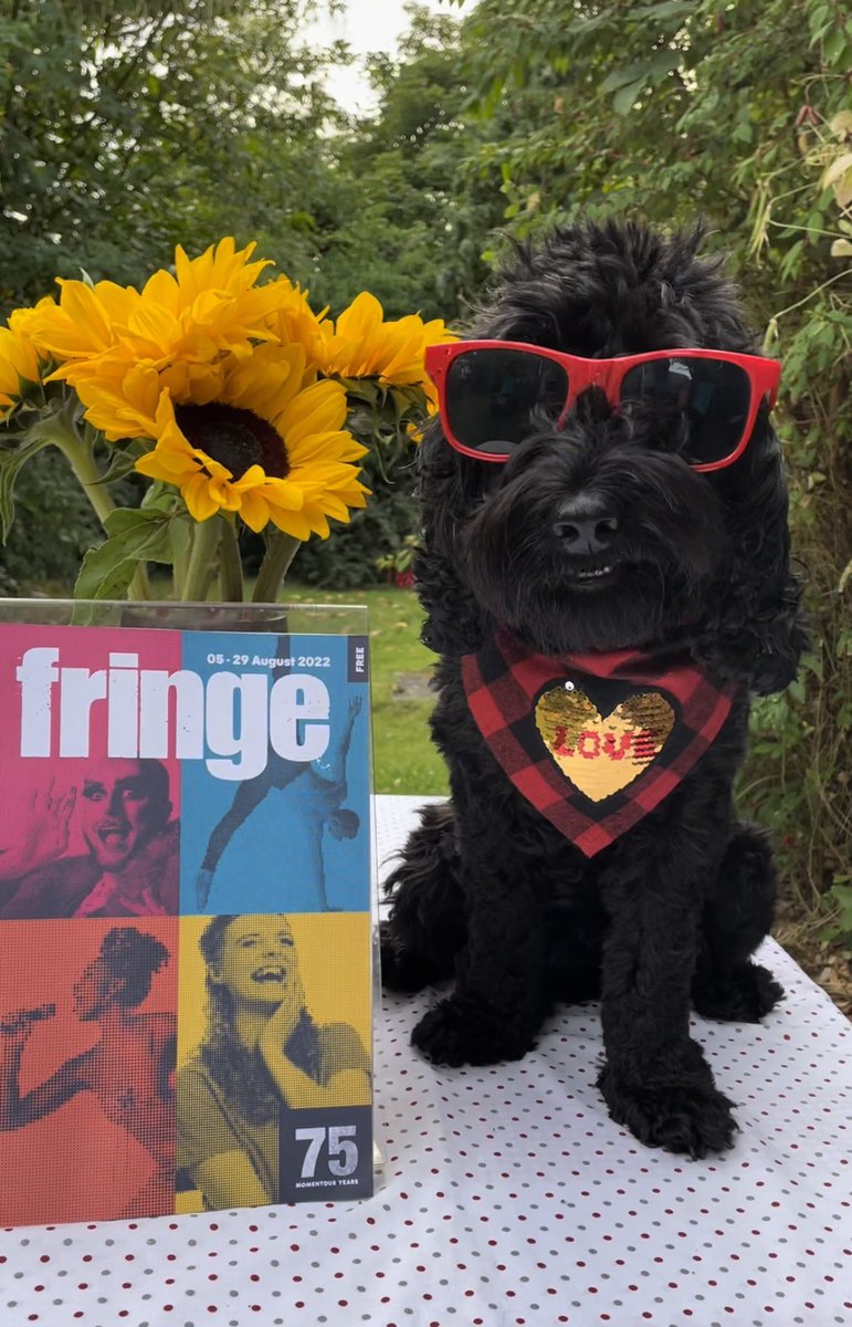 qftravel's tweet photo. With the Edinburgh Festival Fringe looming, our Lola is excited to show off the new 75th Anniversary special edition of @edfringe programme.
#PetsWithProgrammes
#cockapoo #petmodel
@harry_qft
@qftravel @RainbowLuxTravl https://t.co/zXswW71yKB