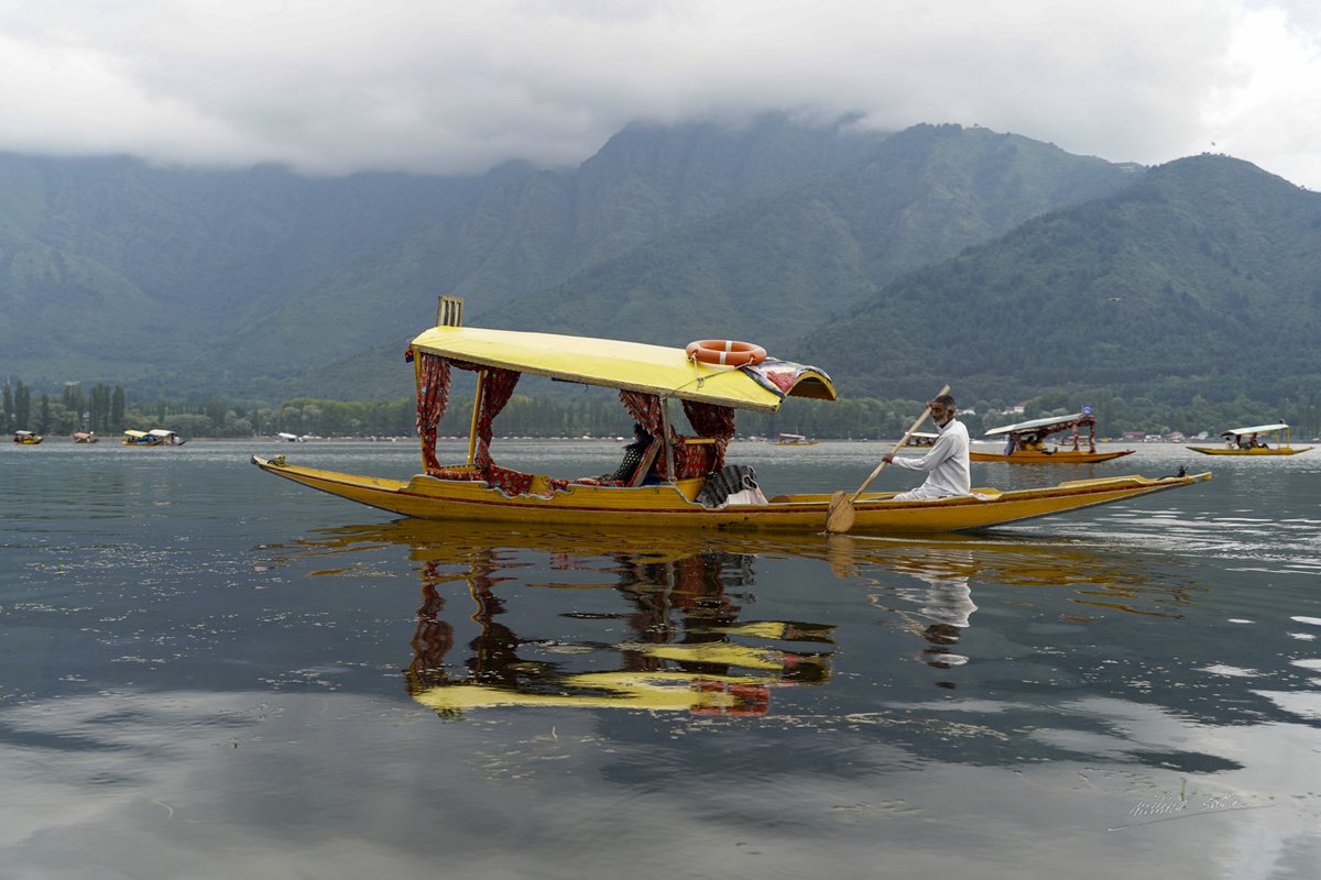 milindsathe2206's tweet photo. shikara on the Dal lake, Srinagar
more in my blog : https://t.co/KmPo1NSrXh

#DalLake #Srinagar #shikara #Kashmir https://t.co/DBIkCrWgQ4