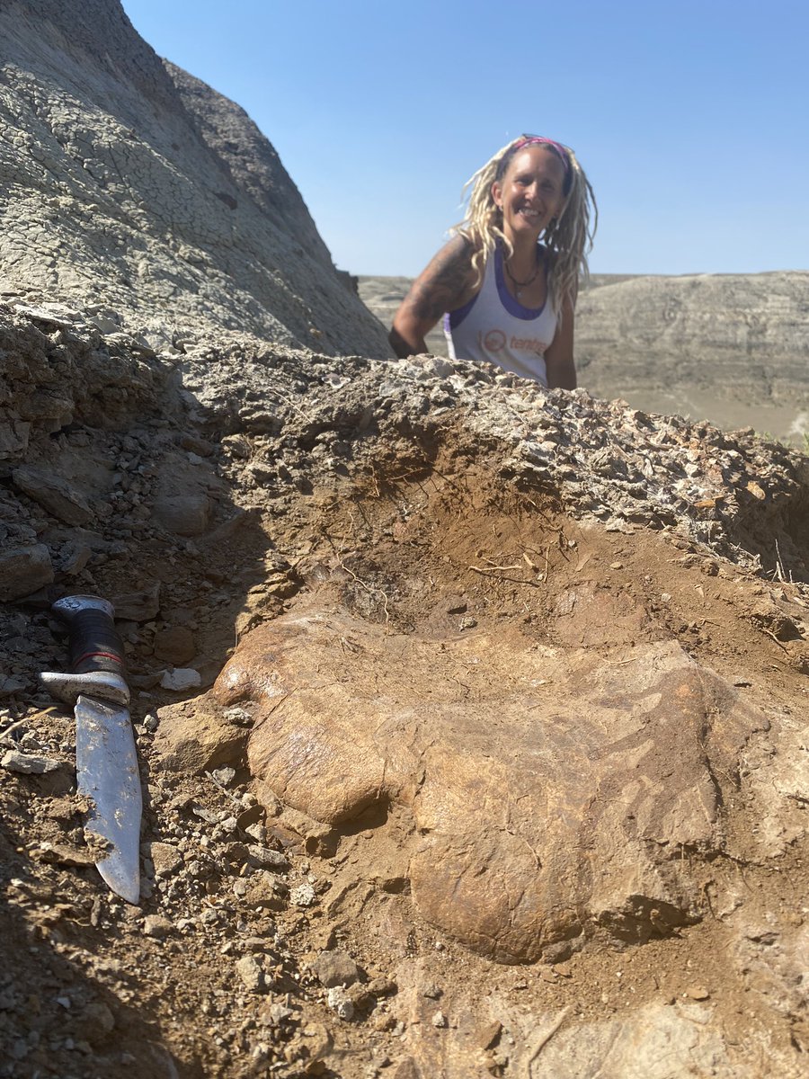 David Evans tweet media