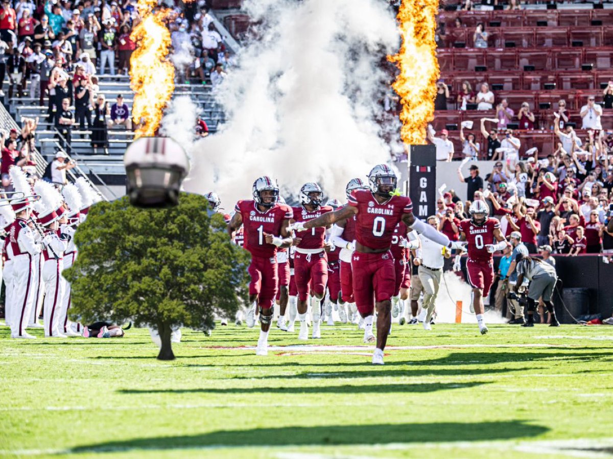 TypicalGamecock's tweet photo. #TreeToTheC π³β‘οΈπ
@_Bigtree23 | @GamecockFB https://t.co/YstKvpJwR5