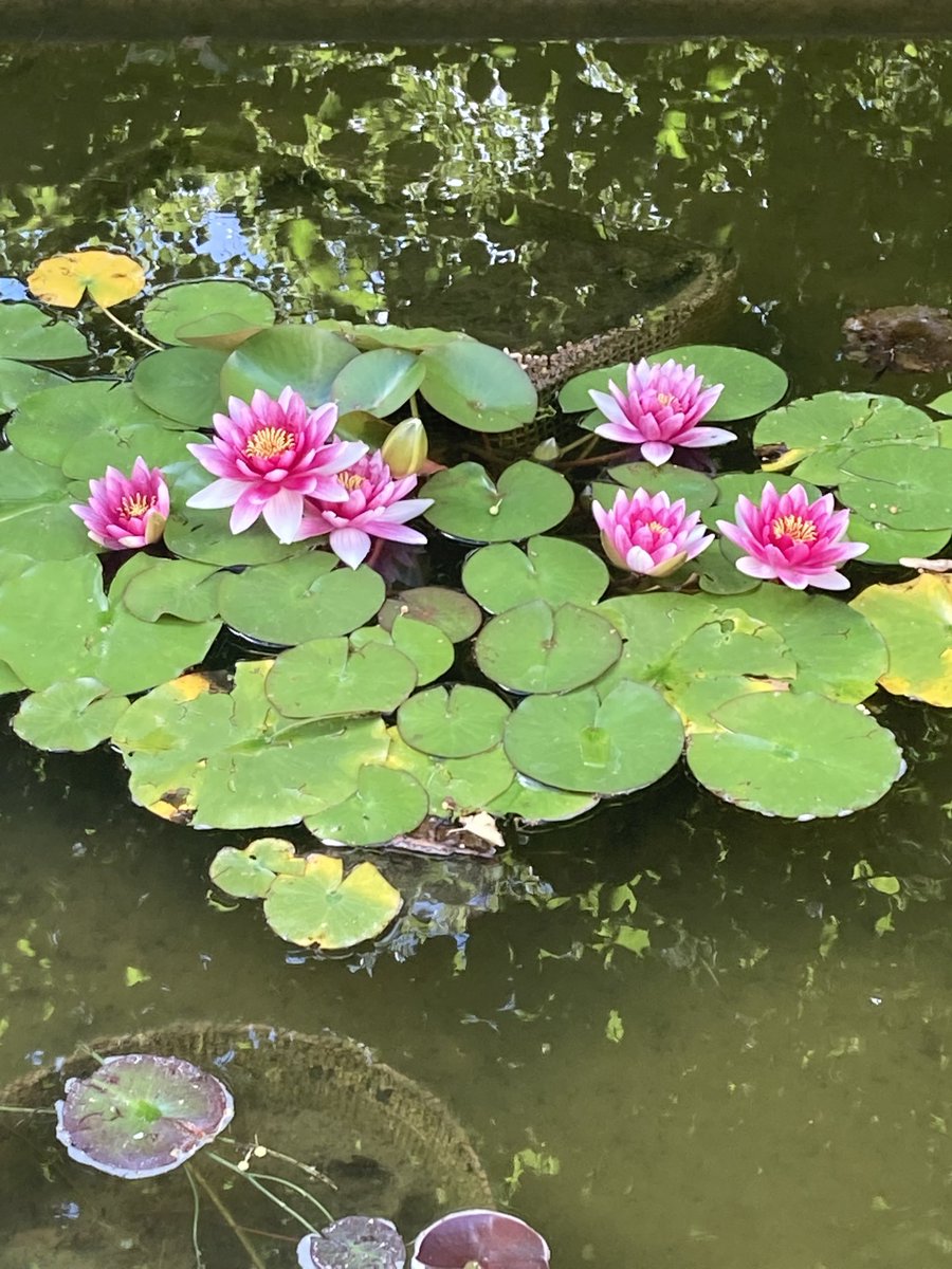 SeniorialesStAvertin tweet media