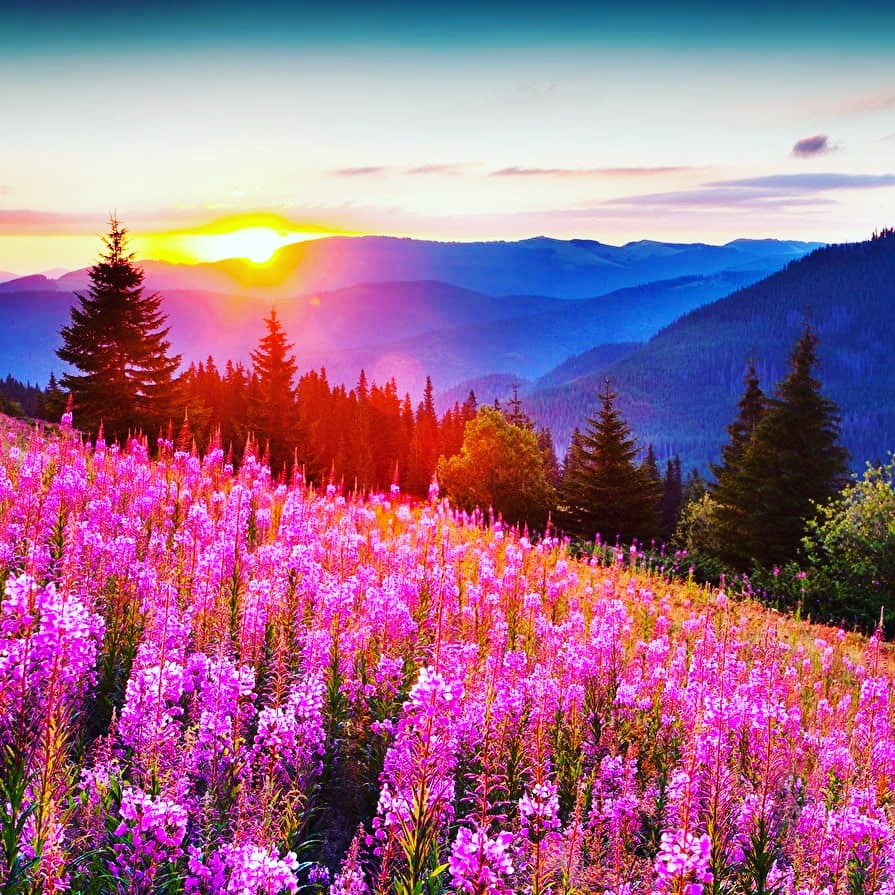 osalgado999's tweet photo. ¡Buenos días!
¡Feliz Martes!
Camina hacia adelante, vive cada instante y si la tristeza llega, mírala de frente y desafíala. Vive con la ilusión de lo que hoy traerá la vida y no te quedes en lo que el ayer te quitó.
#buenosdias #felizdia https://t.co/SM3nyD93Bx