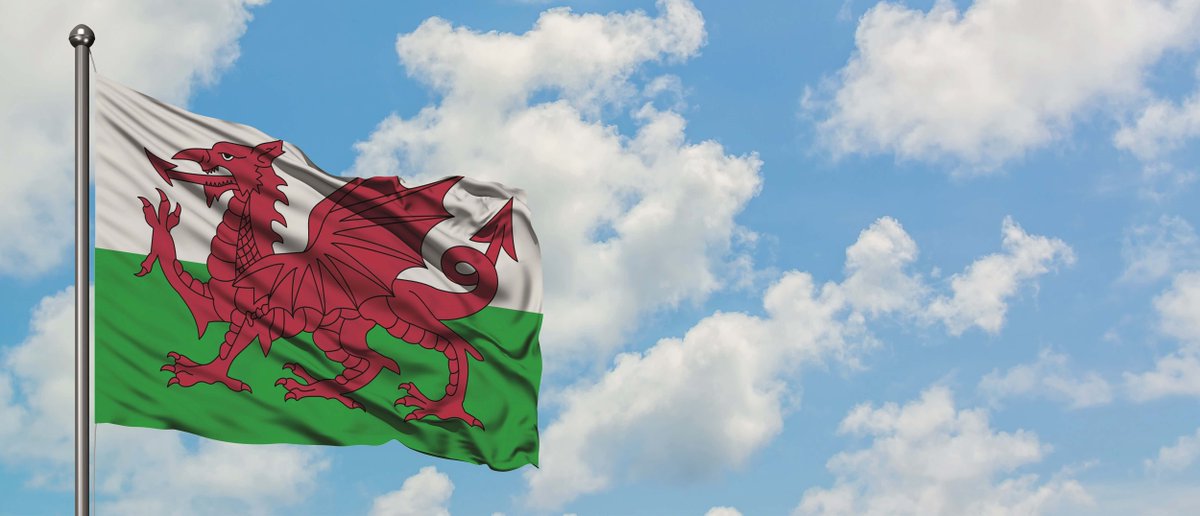 Cydnabod ymrwymiad Sir y Fflint i’r iaith Gymraeg dlvr.it/SVwn1W