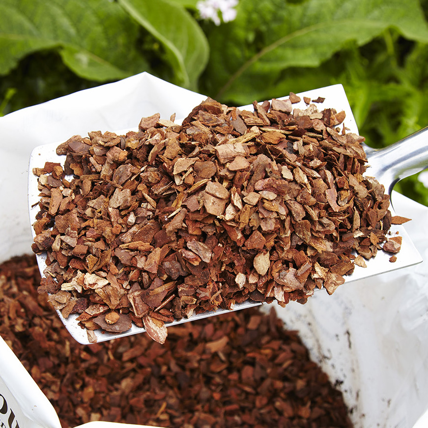 SylvaGrow tweet media