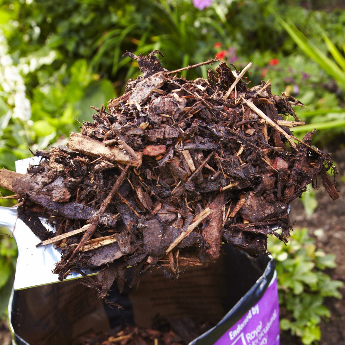 SylvaGrow tweet media