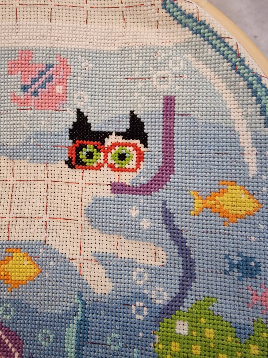 Mum is working on a new cross stitch and I can see me!!! She is letting me swim with the fishes!! <a href="/GrootRocket2/">Groot & Rocket tweet...</a>
#CatsofTwittter
