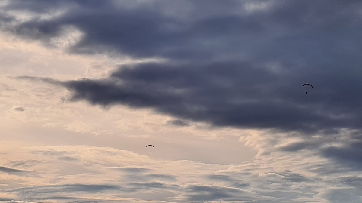 First Sight Aerial Support tweet media