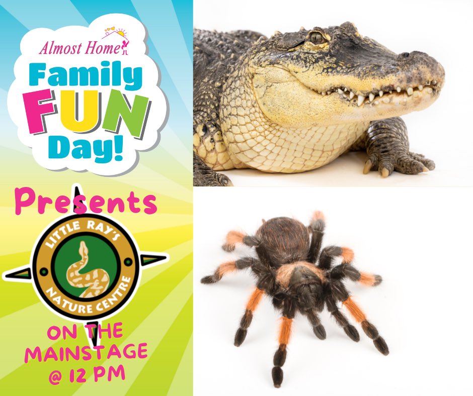 Some kids like kittens some kids like Tarantulas, the Almost Home Family Fun Day has something for everyone.

12 PM <a href="/LittleRaysNC/">Little Rays Nature Centre</a> hits the stage with The Diversity of Living Things.
Saturday, August 13th in Confederation Park!
