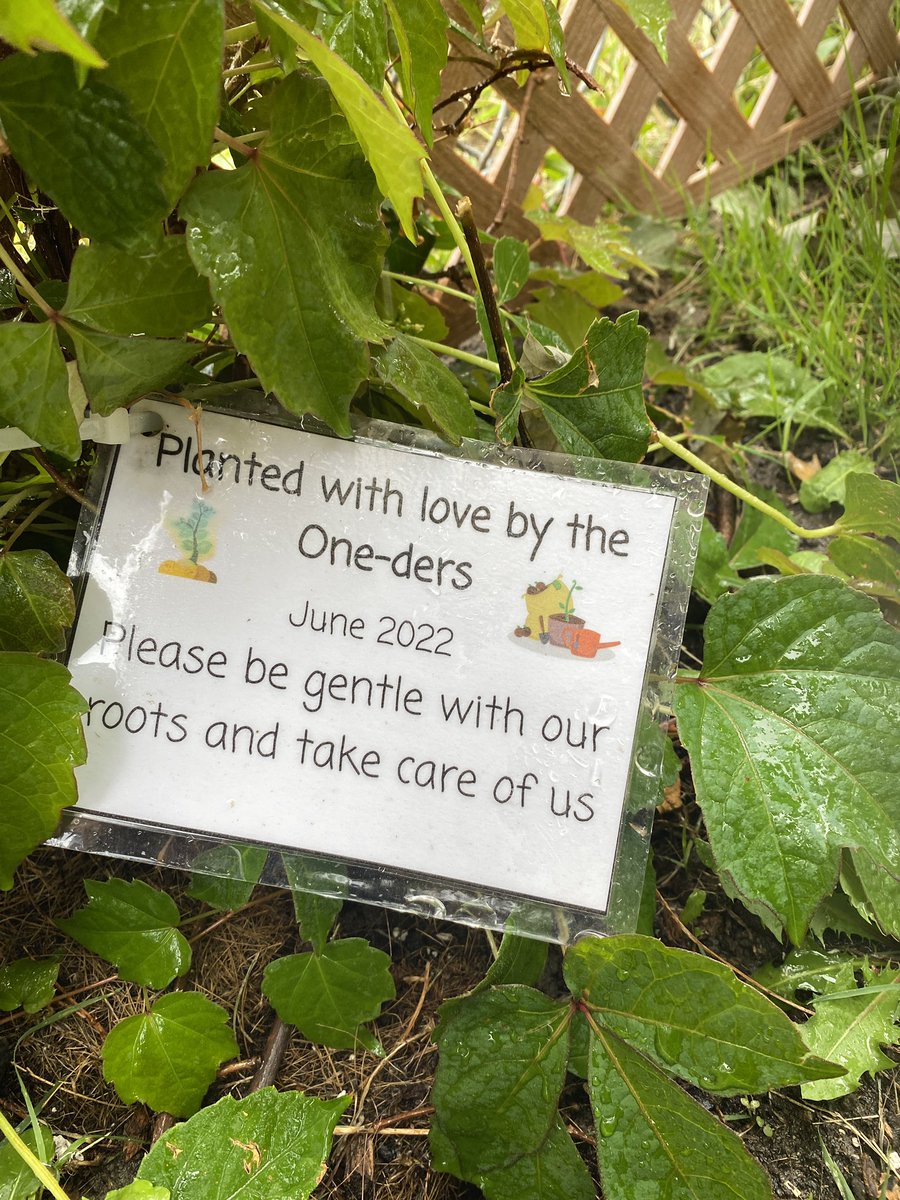 Kathy Ditto tweet media