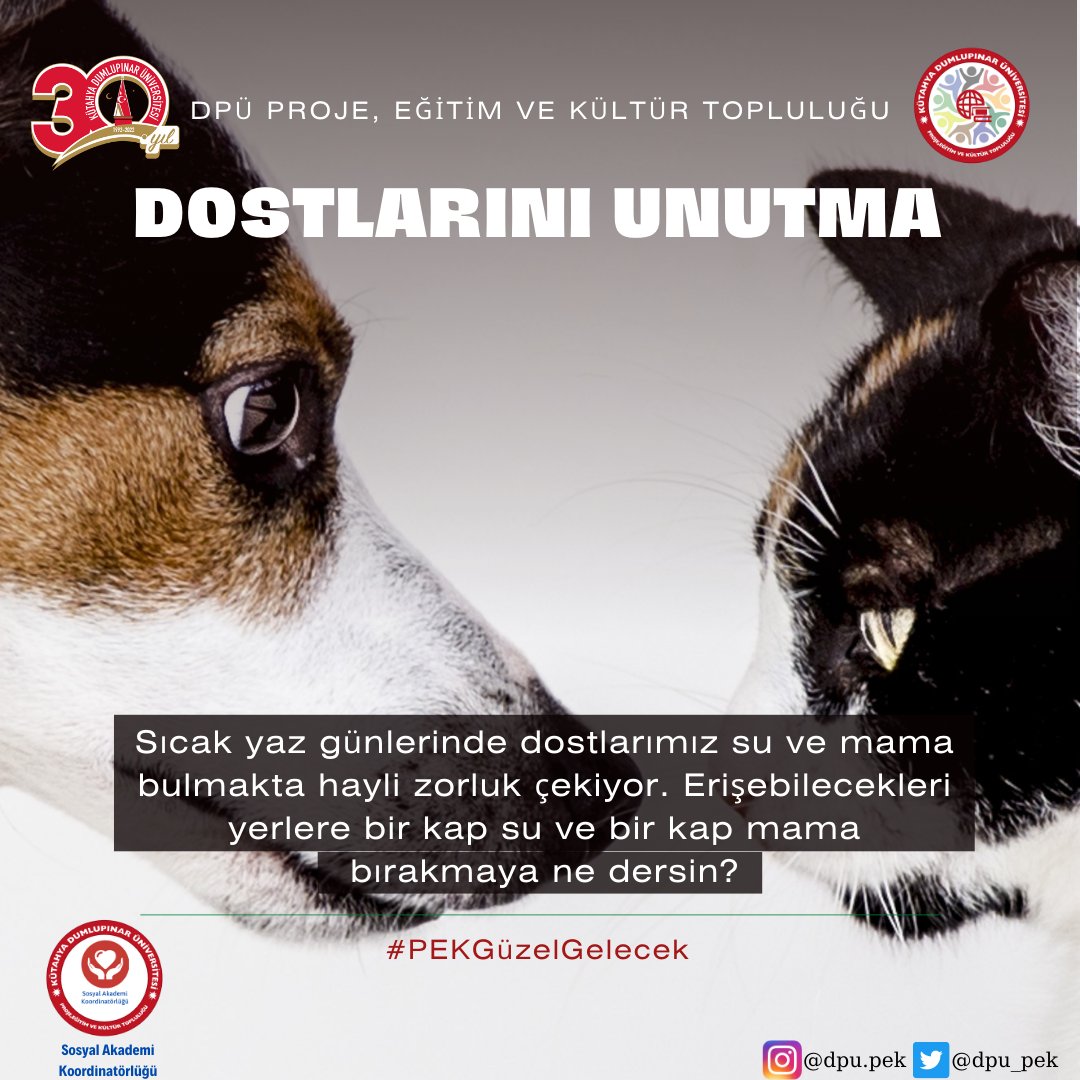 Havalar hayli sıcak 🌡️
Bu sıcak hava şartlarında dostlarımızın erişebileceği yerlere bir kap mama ve bir kap su koyarak yardımcı olmaya ne dersiniz?
🐱🐶

#PEKGüzelGelecek 
#DostlarınıUnutma