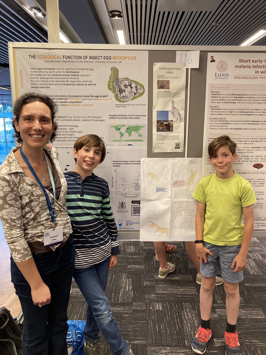 Turns out that taking children’s poster along is the best way to attract audience to my poster #ISBE2022. Thanks to <a href="/Stockholm_Uni/">Stockholm University</a> <a href="/ISBE2022/">ISBE 2022</a> for hosting a great conference #WomenInSTEM