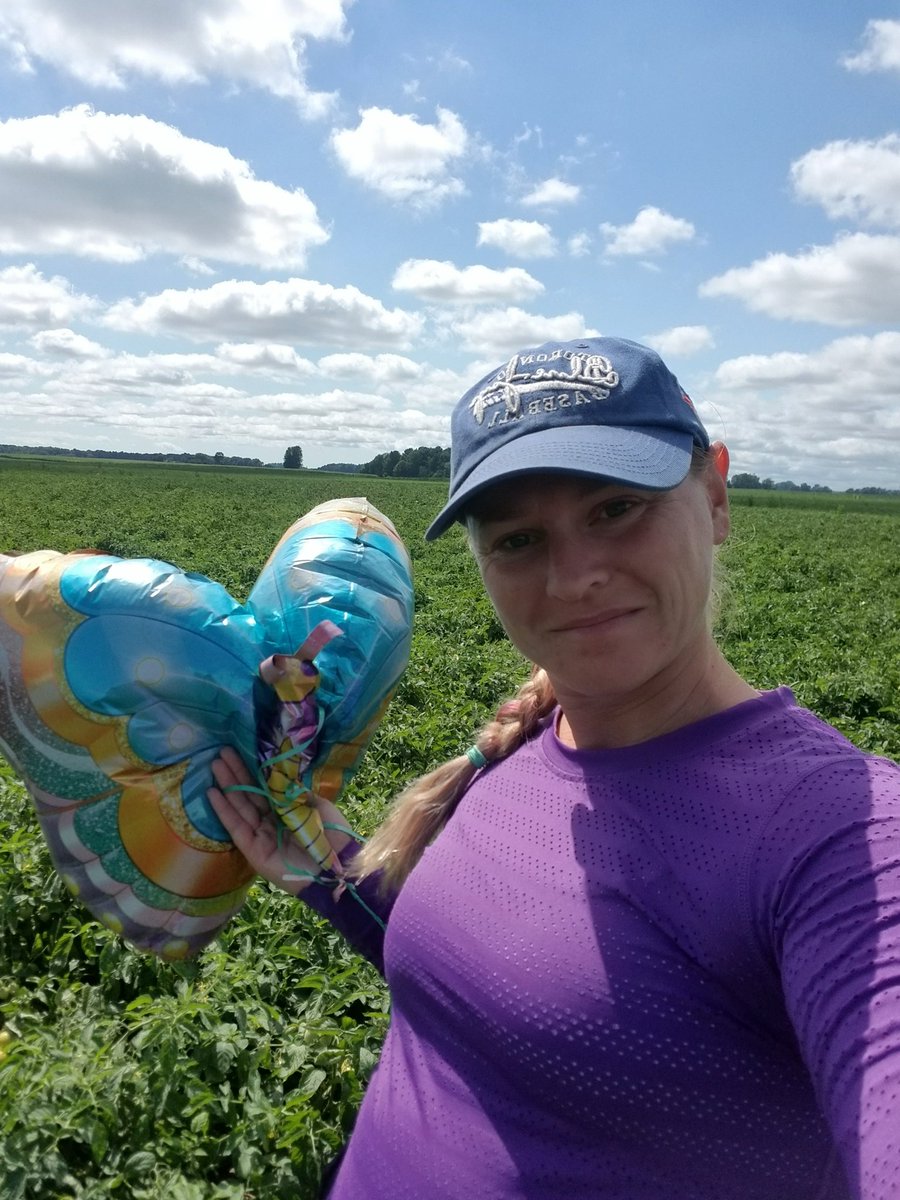 AmandaTracey12's tweet photo. Found this beautiful butterfly in tomatoes this morning. I guess it's going to be my scouting buddy today... https://t.co/WizA7ok5X4