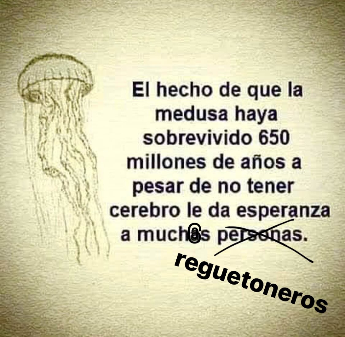 Martí Coma (@marticoma) on Twitter photo 