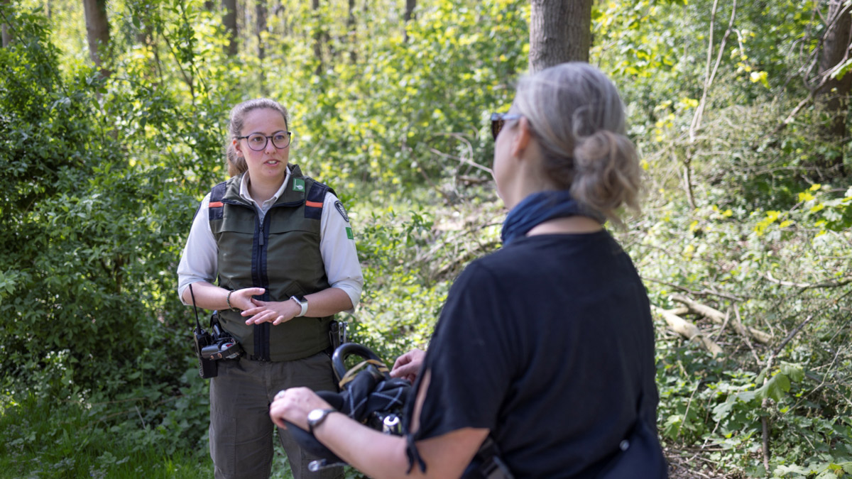 Staatsbosbeheer tweet media