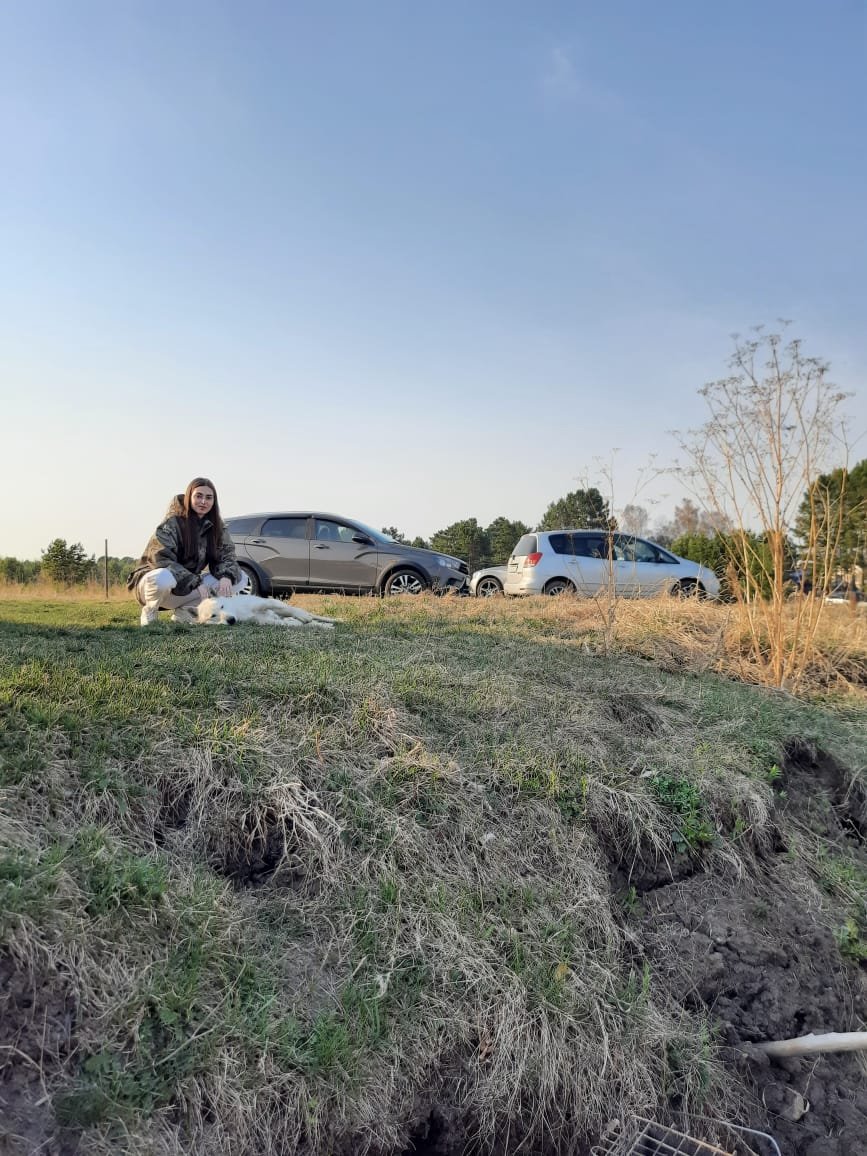 Oleg Savelev (@olegsavelev264) on Twitter photo 