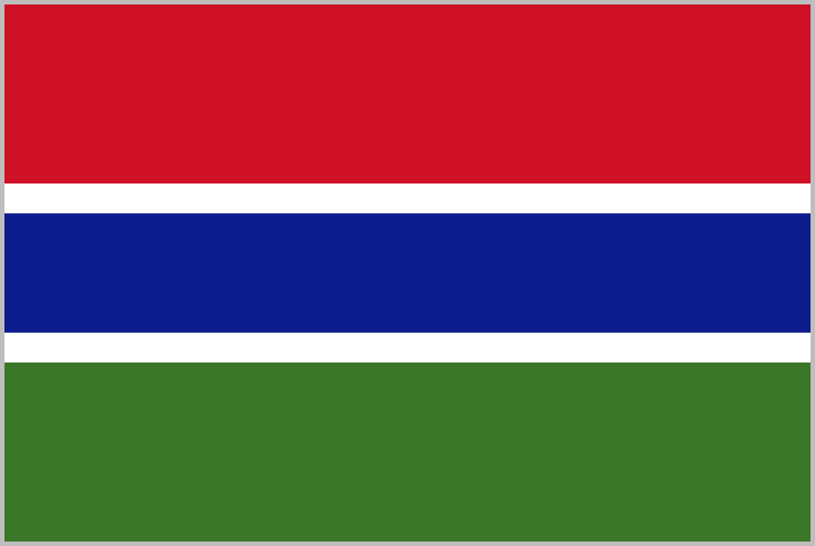 📢📢 First Giveway 📢📢
To have a chance to win the flags of New Zealand and The Gambia, do the following steps :

1. Like
2. Retweet
3. Comment with your Chia Address

The winners will be selected tomorrow at 14:00 UTC
Good Luck! 🍀🍀🍀
#Chia #NFTGiveaway