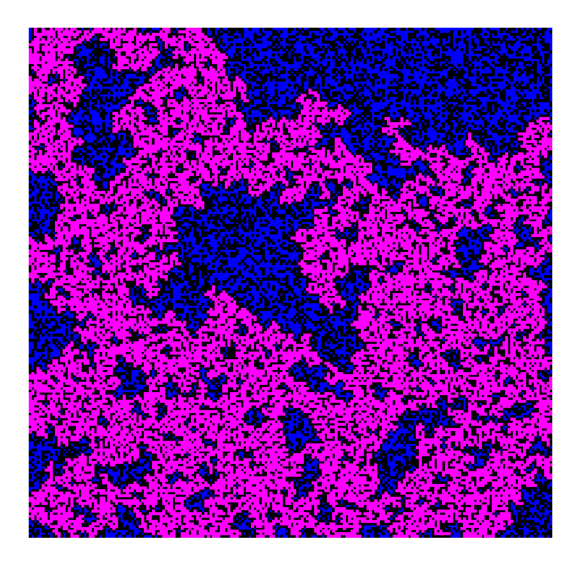 renabridged's tweet photo. Giant component in the percolation cluster. #percolation #scalinglaw #modeling #complexsystems #scienceofcities #dfiufla #ufla https://t.co/wcoEEtOAZm