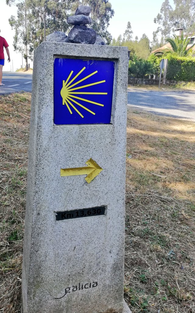 Salesianas España tweet media