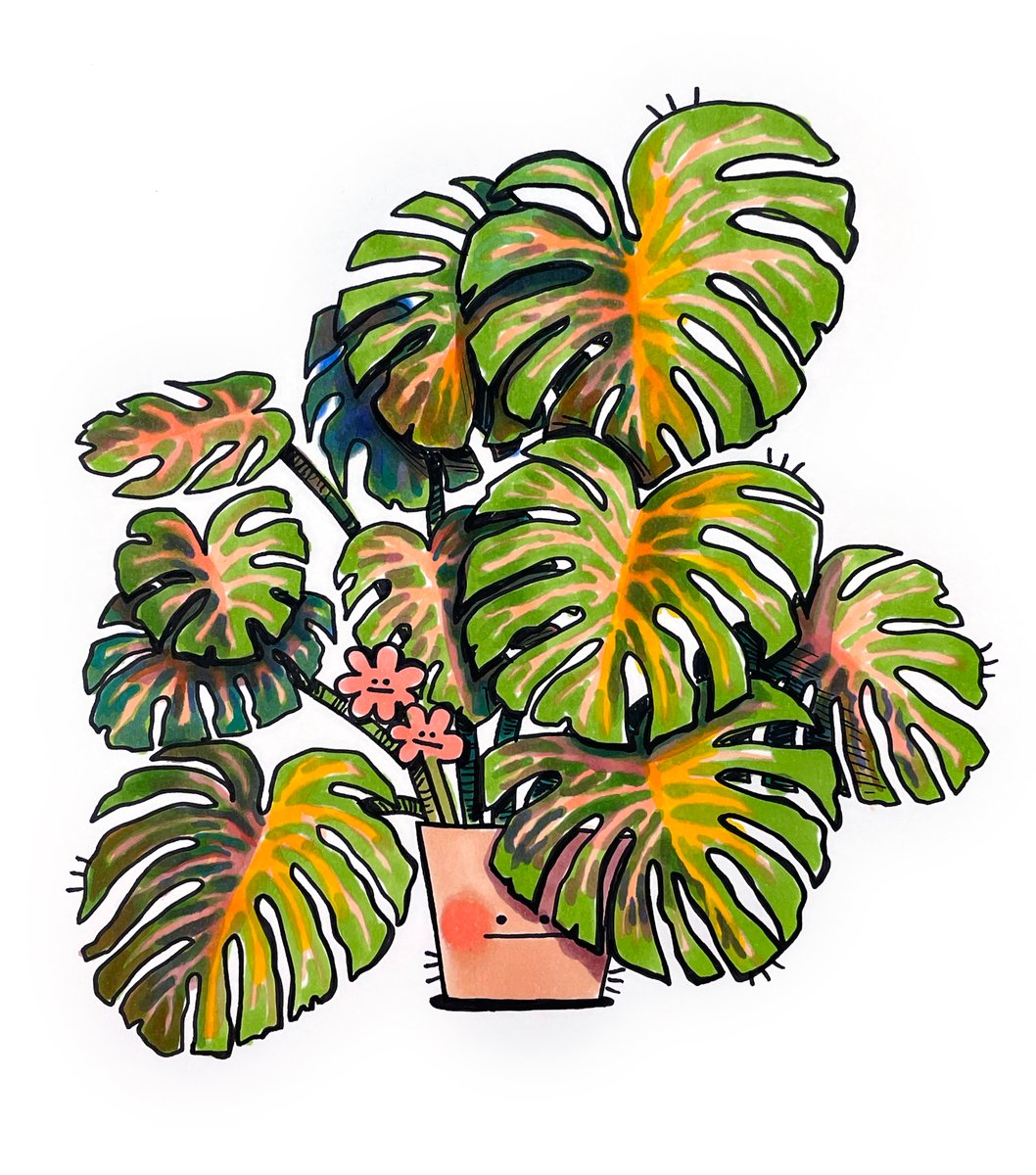 meganroseruiz's tweet image. stay hydrated