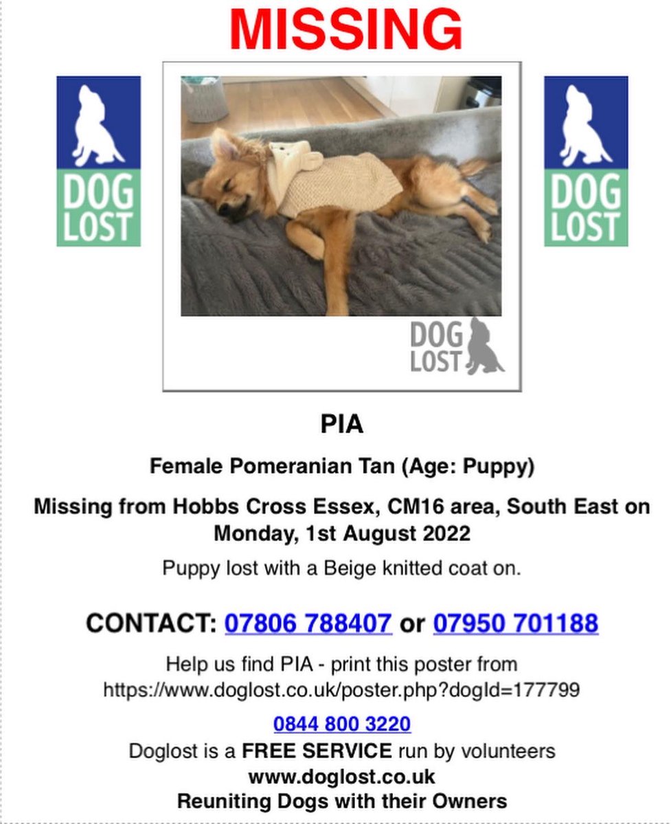 Stolen&Missing Pets tweet media