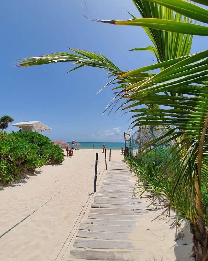 TULUMPRES's tweet photo. Camino hacia el éxito 😍❤️🌴🌊🇲🇽♥️♥️ https://t.co/IUVSK0BOqZ