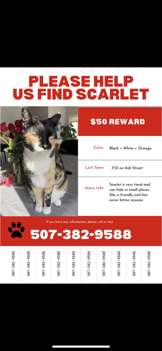 PLEASE HELP FIND SCARLET! A REWARD WILL BE GIVEN TO HELP FIND HER! PLEASE CALL 507-382-9588 IF YOU HAVE ANY INFORMATION OR HAVE FOUND HER!