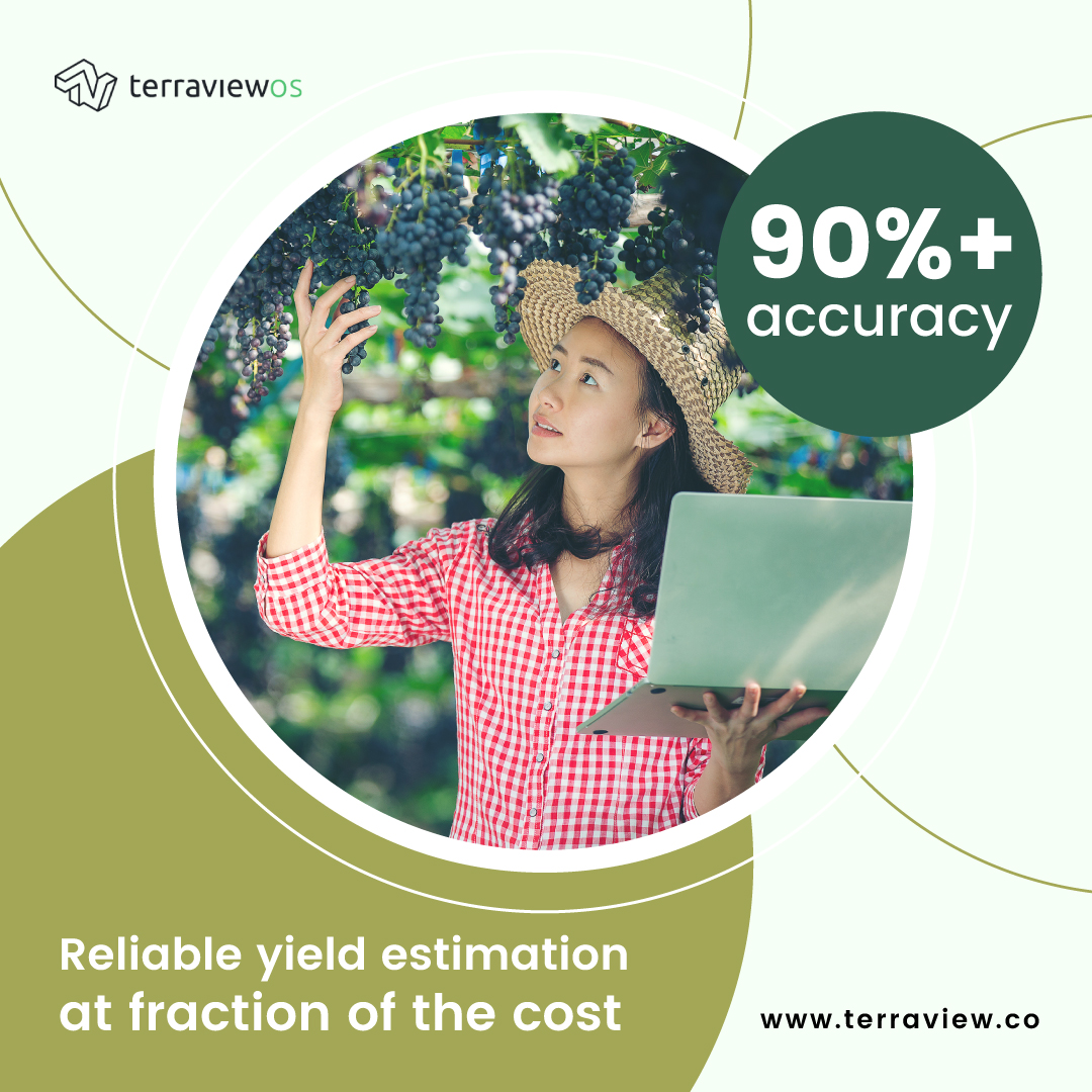 terraviewos's tweet image. TerraviewOS provides accurate intelligence on yield estimation, weather forecast, canopy cover, adverse weather events, disease alerts, and water needs of your vineyard from one dashboard.

Know more terraview.co

#terraview #yieldestimation #weatherforecast #vineyard